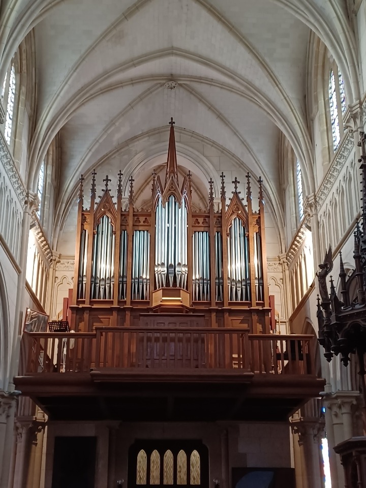 Card image cap