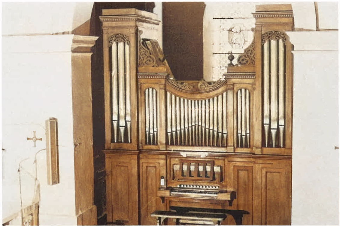Card image cap